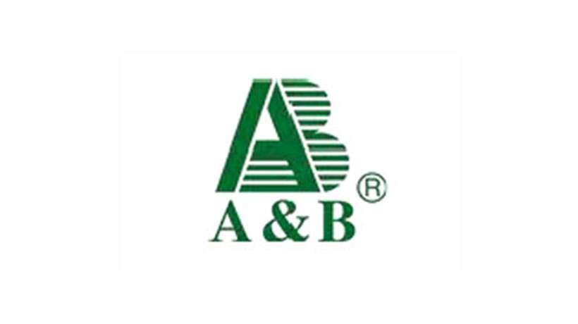 江蘇AB集團logo設計及品牌VI