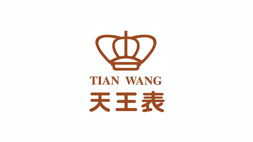 天王電子（深圳）有限公司logo設計及品牌VI