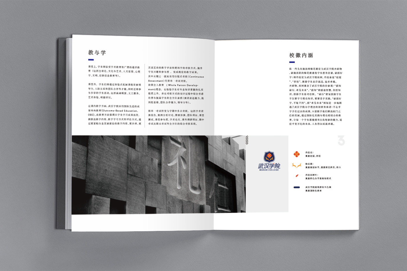 武漢學(xué)院畫(huà)冊(cè)設(shè)計(jì)6