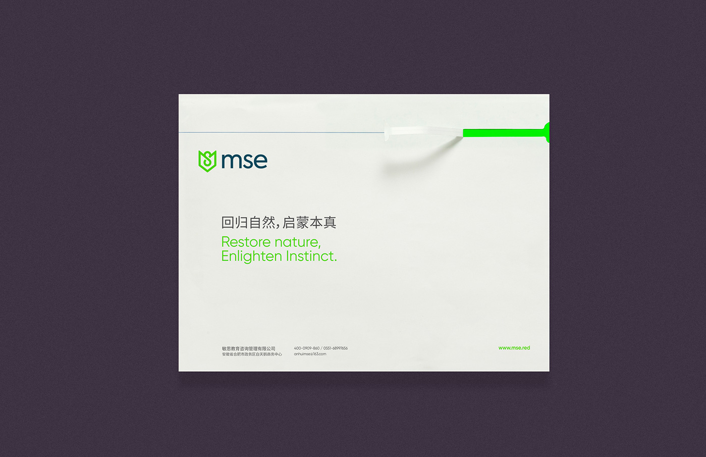 敏思教育機構(gòu)品牌VI設(shè)計_09